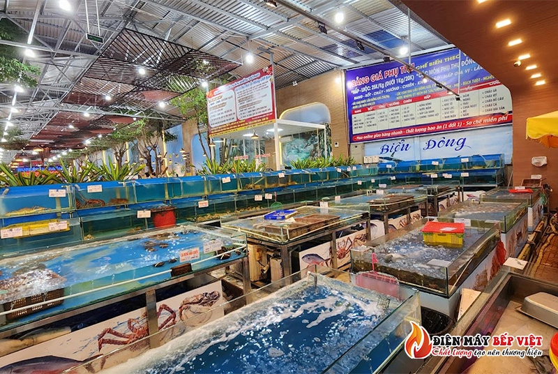 Cần Thơ - Nhà hàng Buffet hải sản Biển Đông