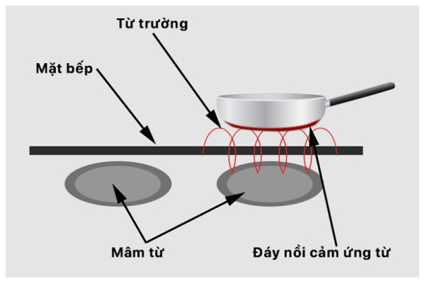 Bếp điện từ hoạt động dựa trên nguyên lý cảm ứng điện từ